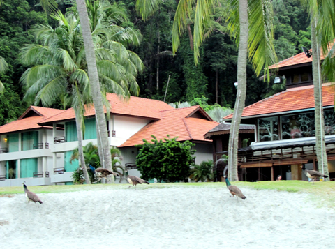 du lich Malaysia